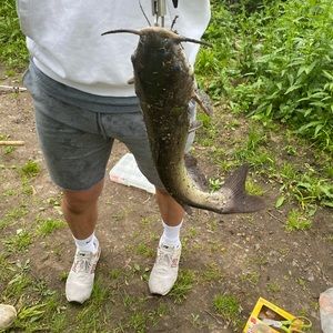 Meet your Posher, Bryan